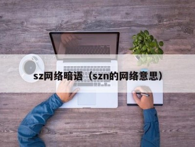 济南sz网络暗语（szn的网络意思）