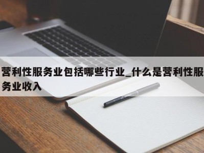 济南营利性服务业包括哪些行业_什么是营利性服务业收入 