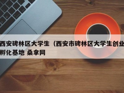 济南西安碑林区大学生（西安市碑林区大学生创业孵化基地 桑拿网